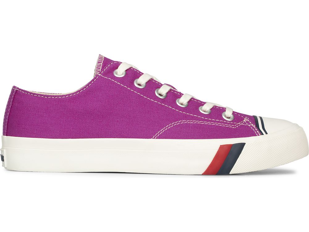 Keds Royal Lo Canvas Miesten Tennarit Fuschia | FI-77410